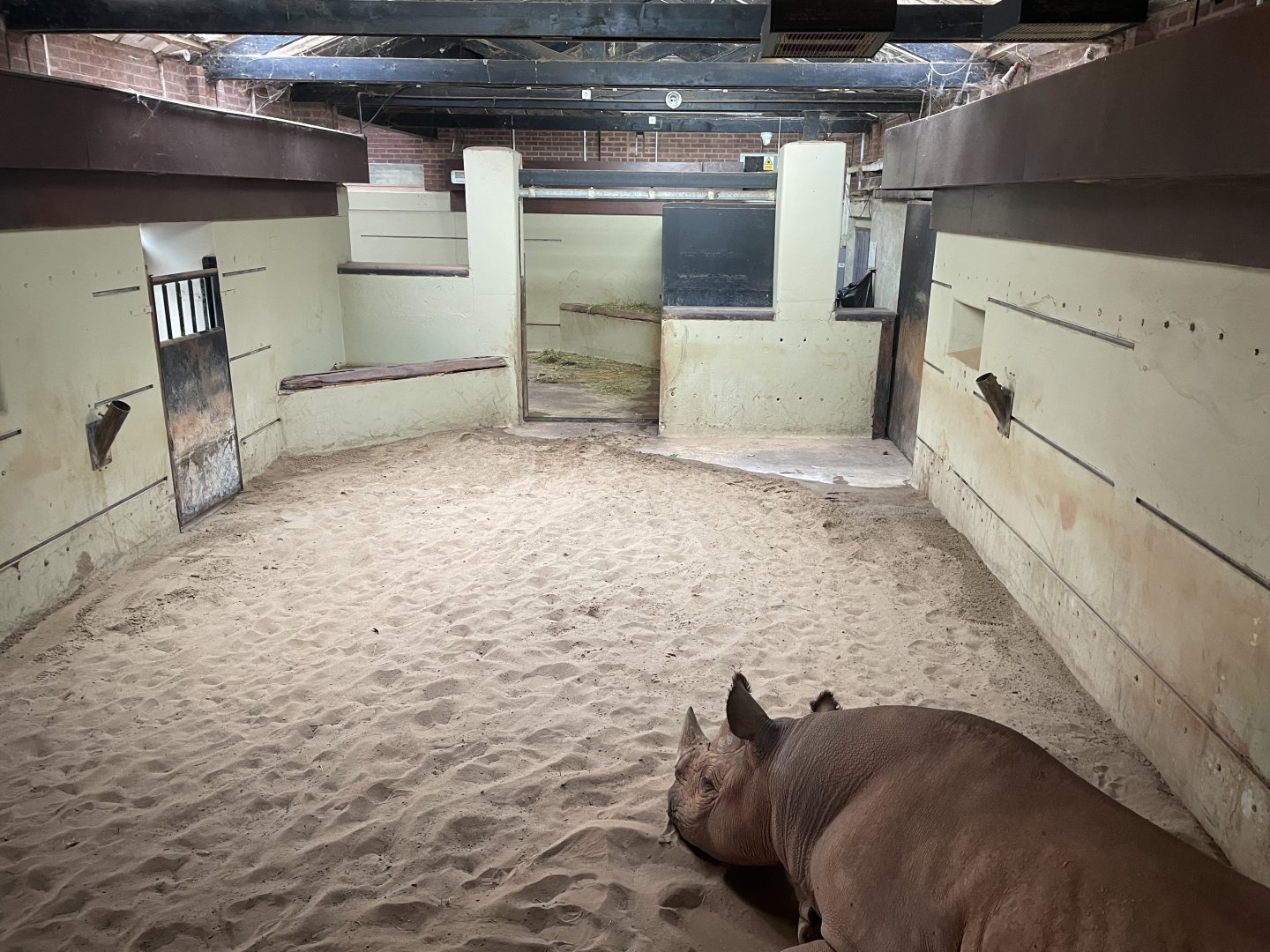 Black Rhinoceros House