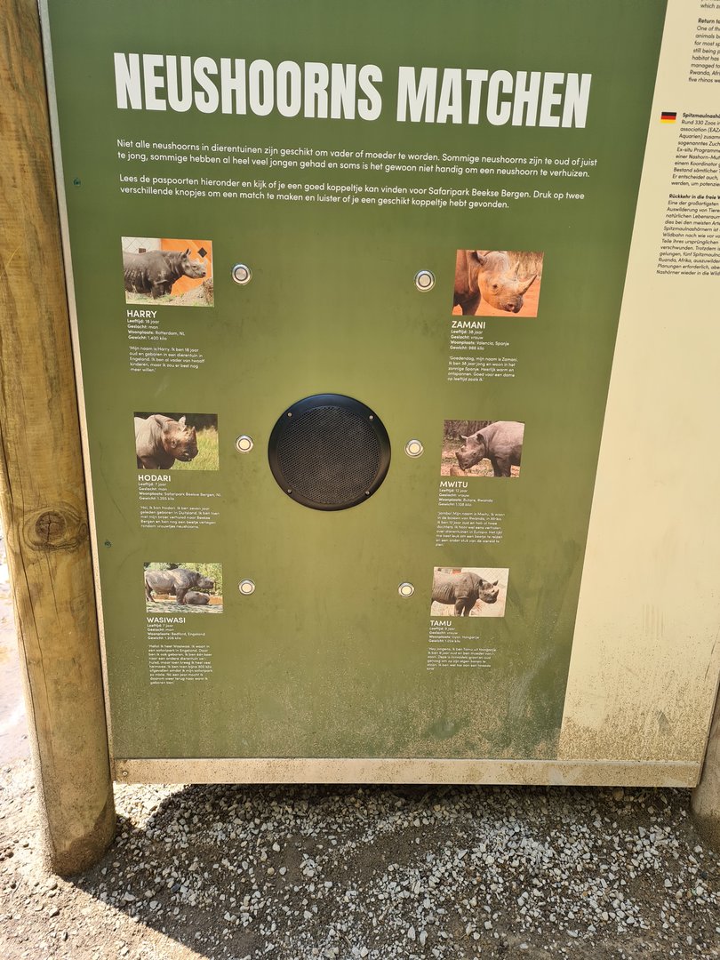 Black rhinoceros match-making signage