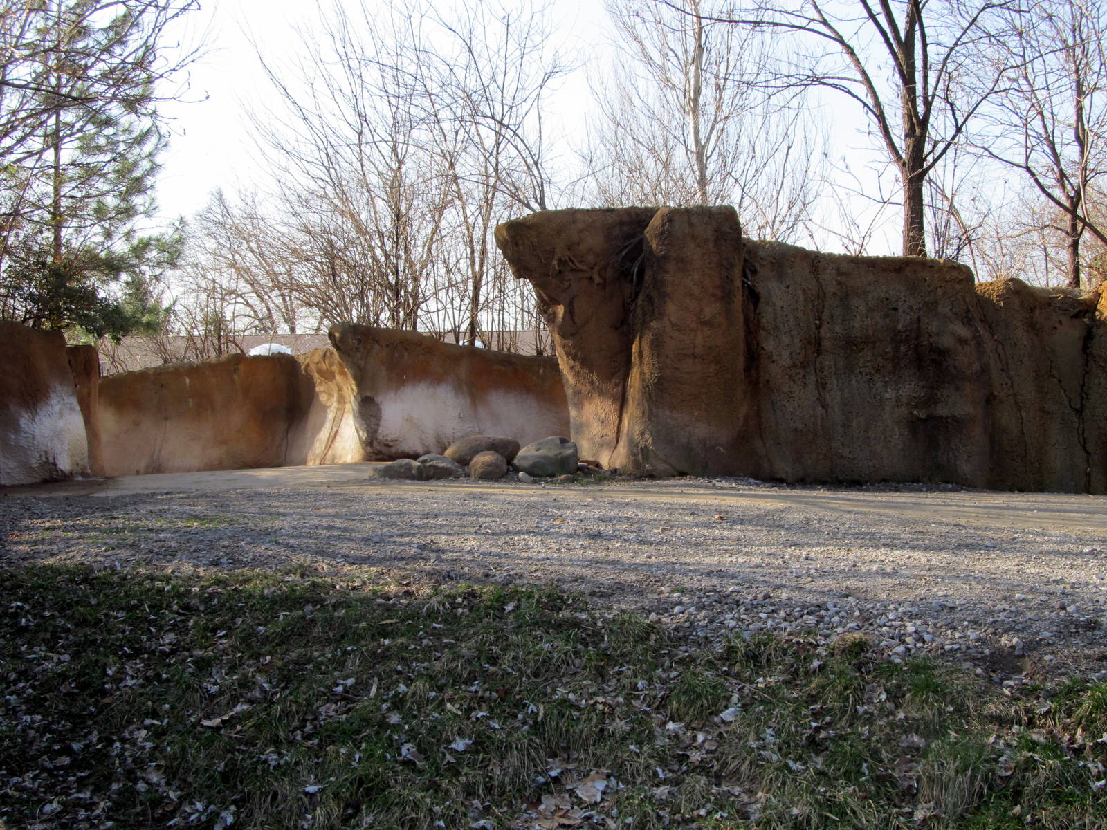 Black Rhinoceros/Sacred Ibis Exhibit