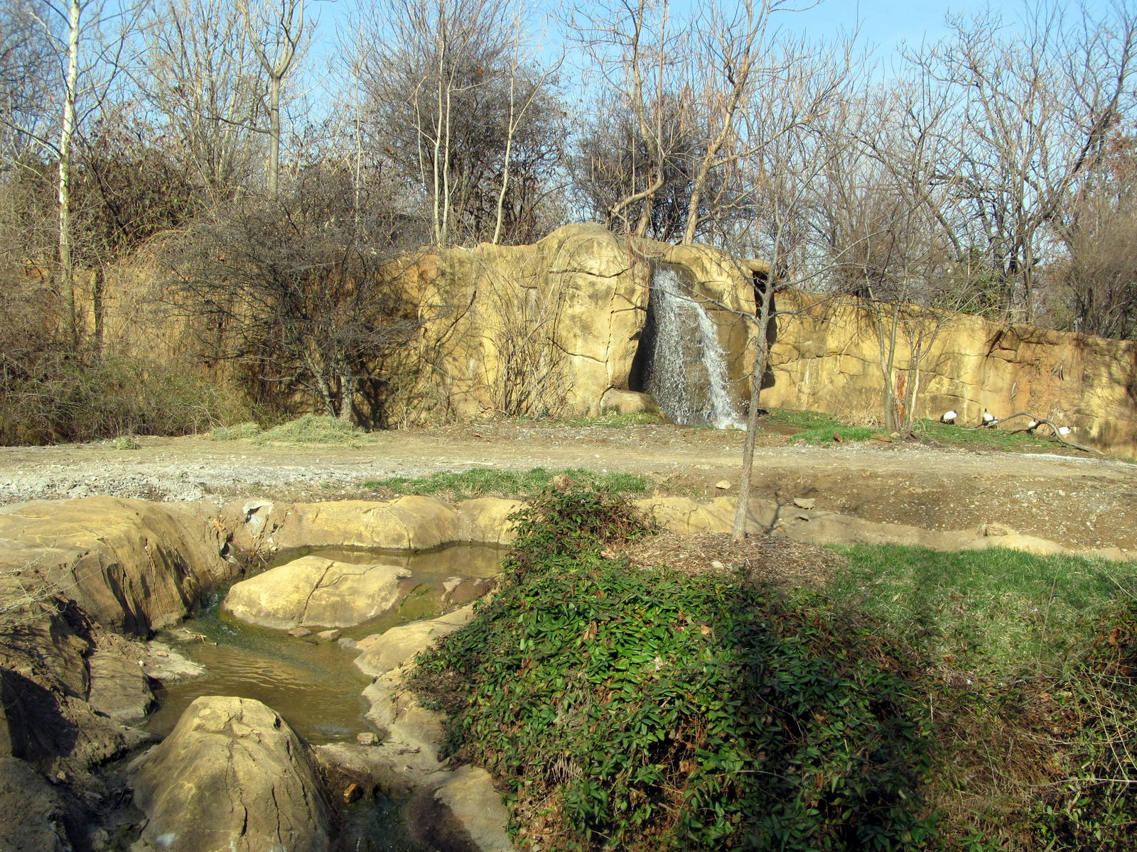 Black Rhinoceros/Sacred Ibis Exhibit