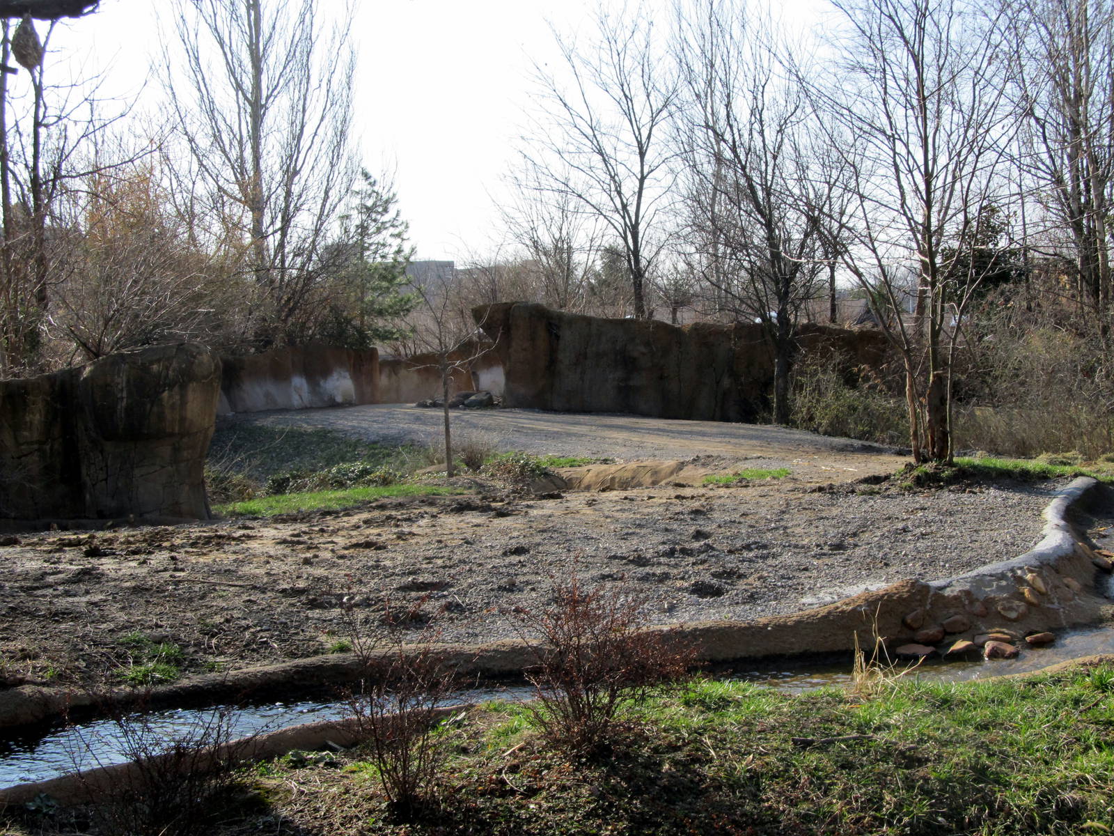 Black Rhinoceros/Sacred Ibis Exhibit