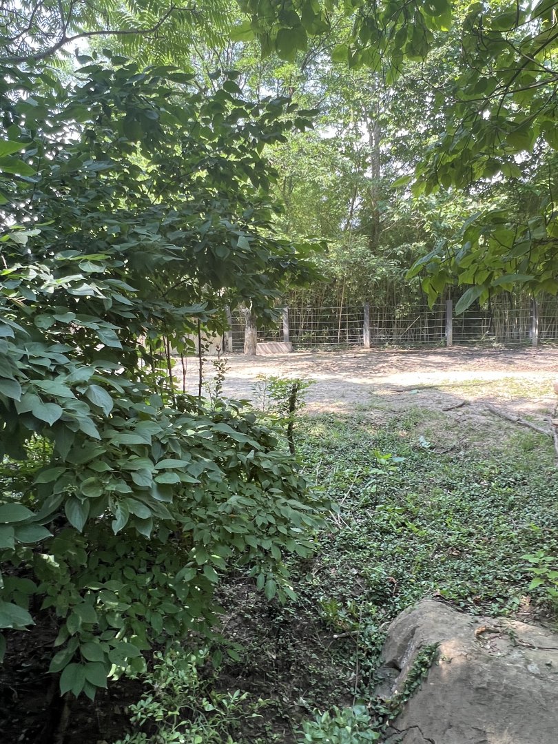 Black Rhinoceros/Sacred Ibis Exhibit