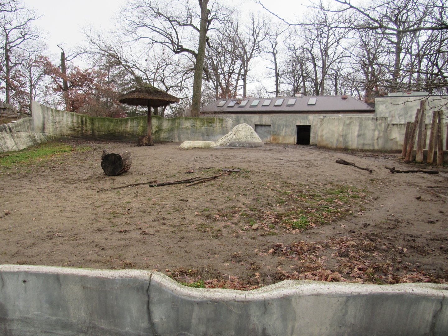 Black Rhinoceros - Second Yard