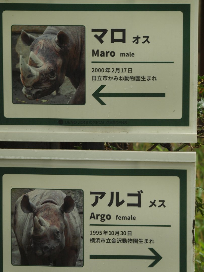 Black rhinoceros signage
