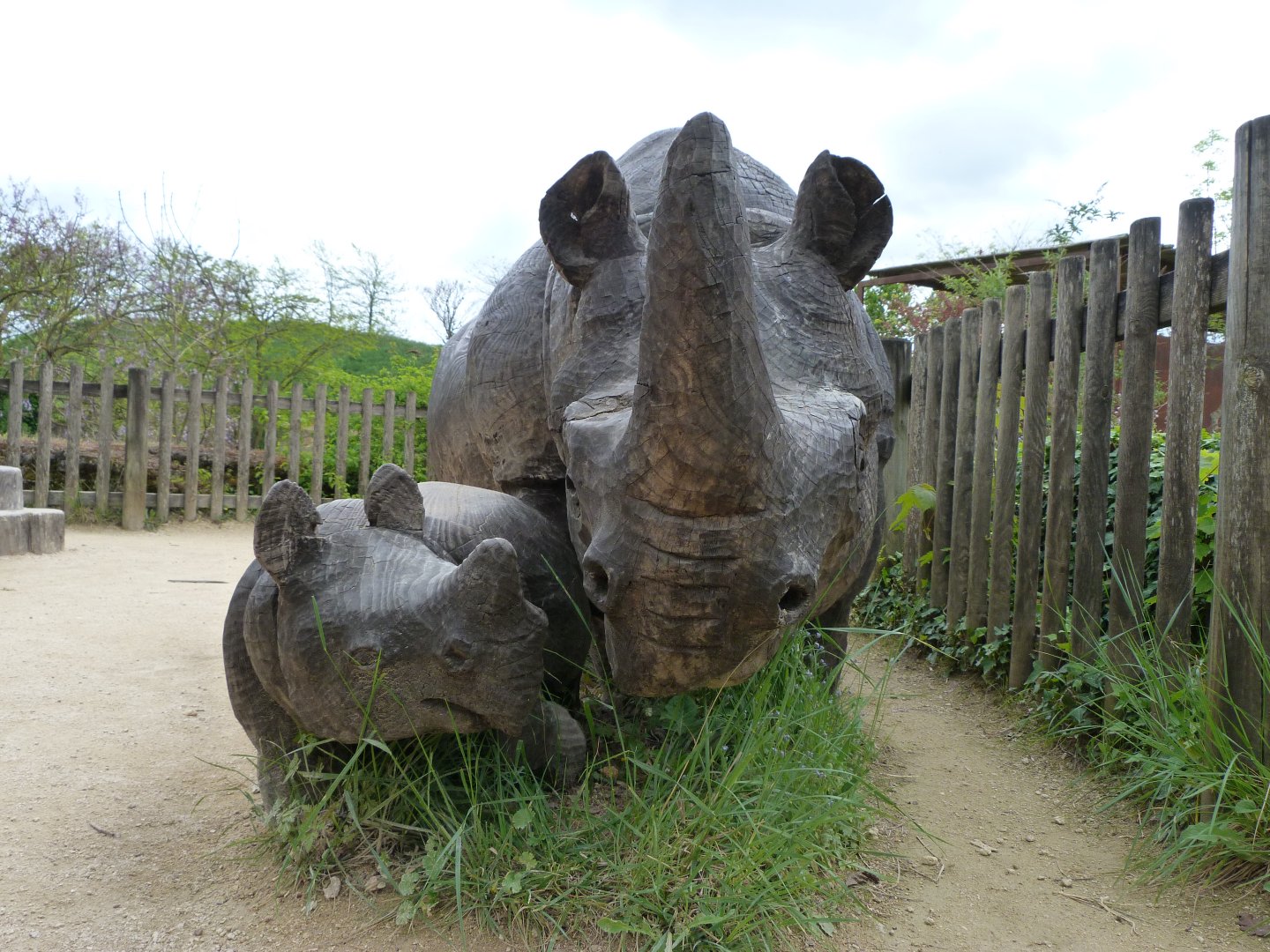 Black rhinoceros statue -Bioparc de Doué la Fontaine (2025)