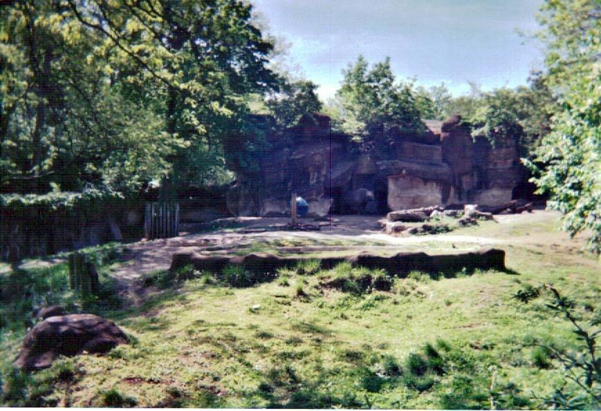 Black Rhinoceros Yard - May 2004