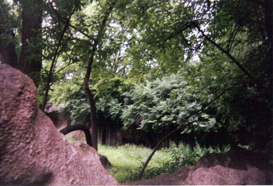 Black Rhinoceros Yard  ~ Rhino Reserve