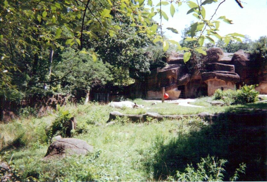 Black Rhinoceros Yard  ~ Rhino Reserve
