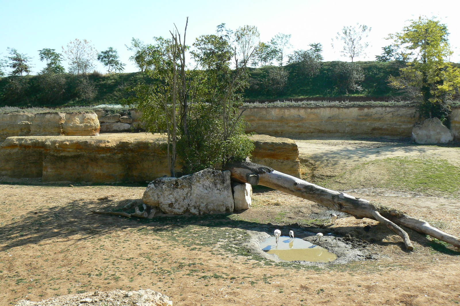 Black rhinos canyon - general view