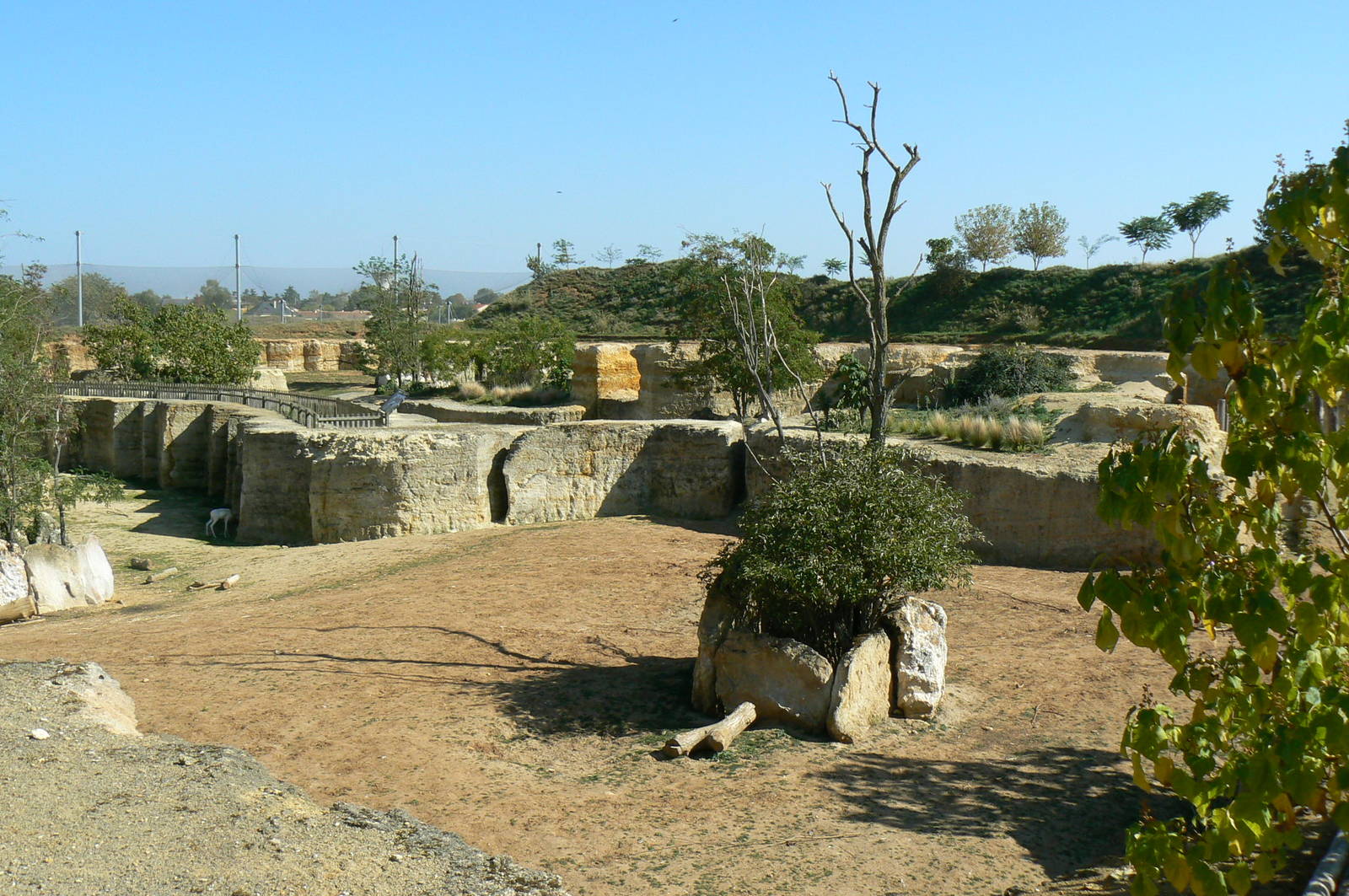 Black rhinos canyon - general view