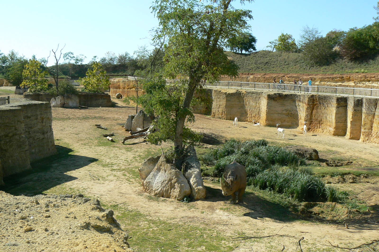 Black rhinos canyon - general view