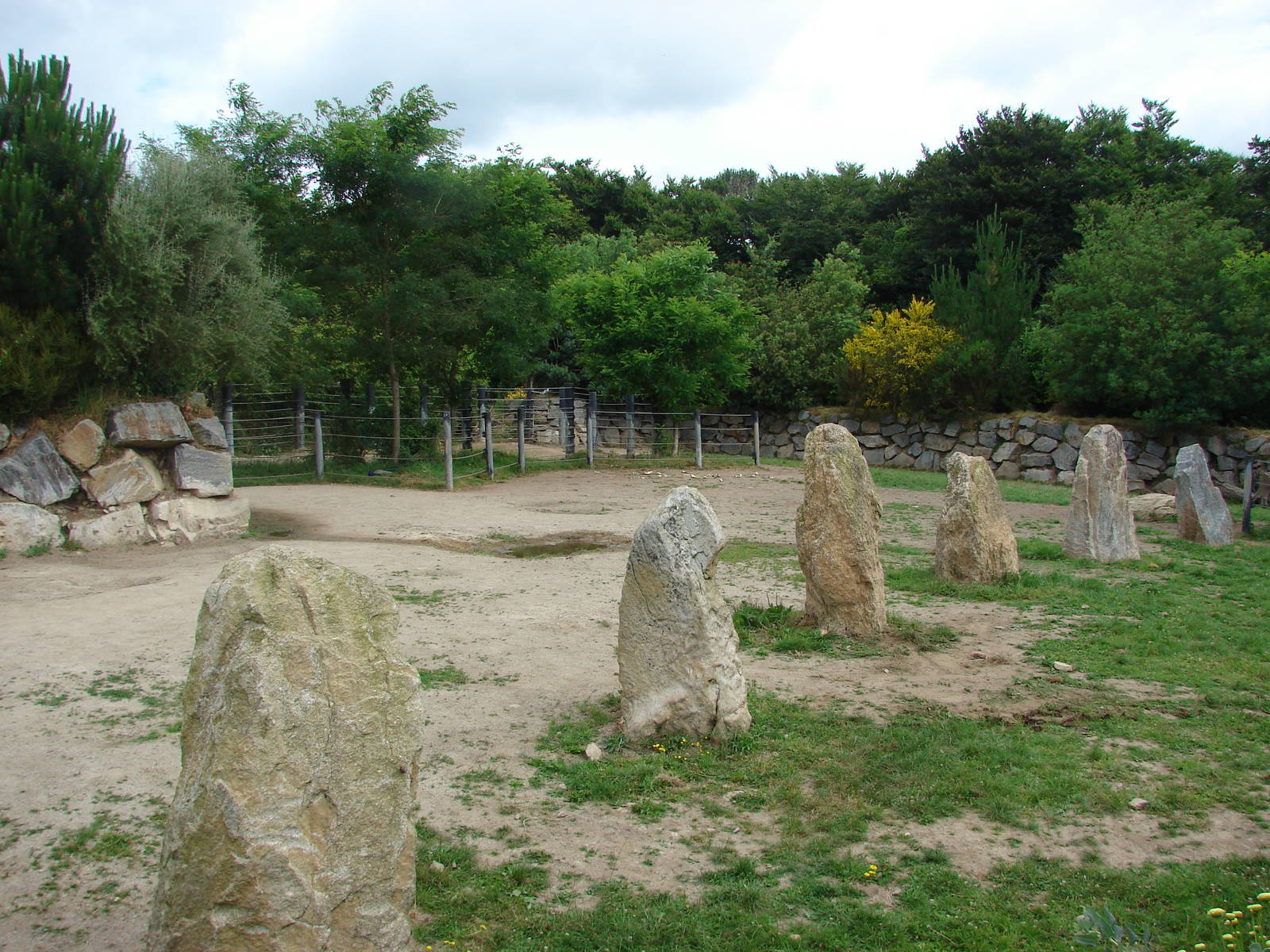 Black rhinos exhibit
