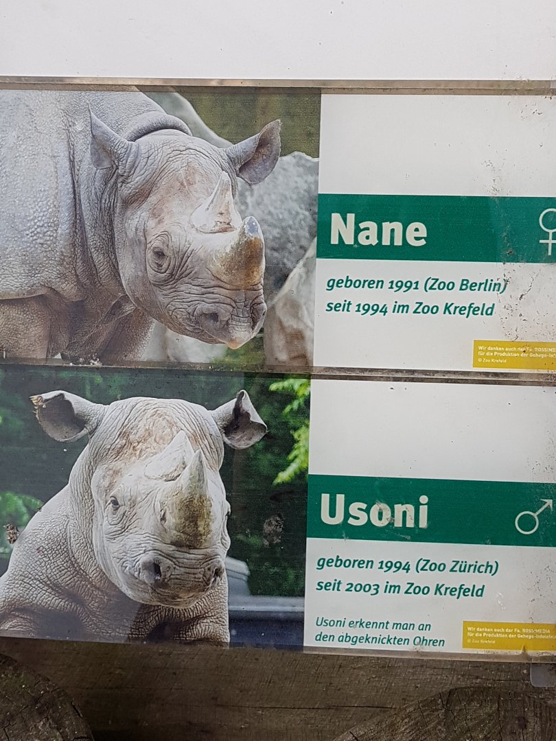 Black rhinos names