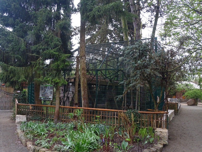 Black + ring-tailed lemur enclosure