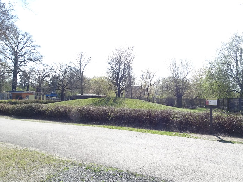 Black sable antelope enclosure