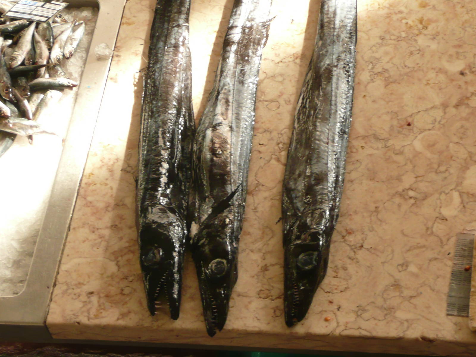 Black Scabbard in Funchal Fish Market