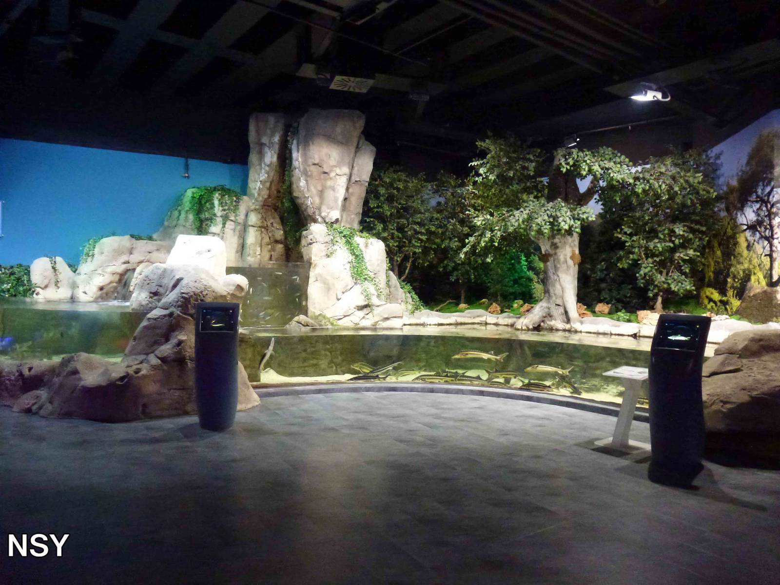 Black Sea tanks, June 2013.