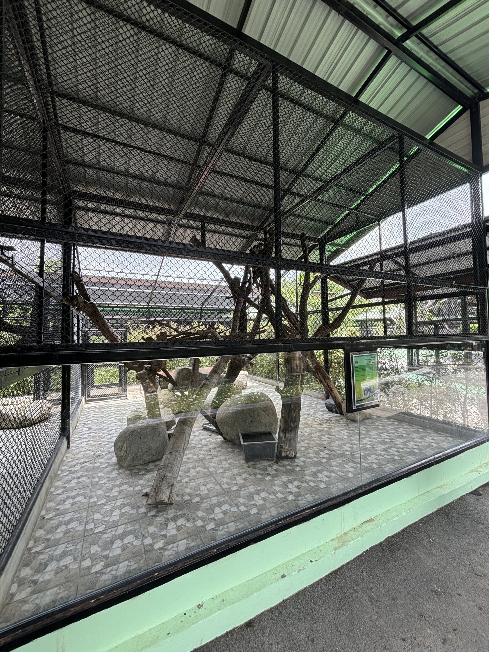 Black-shanked Douc Langur Exhibit - Lion Park