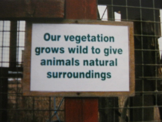 Black Spider Monkey enclosure sign close-up 1998.