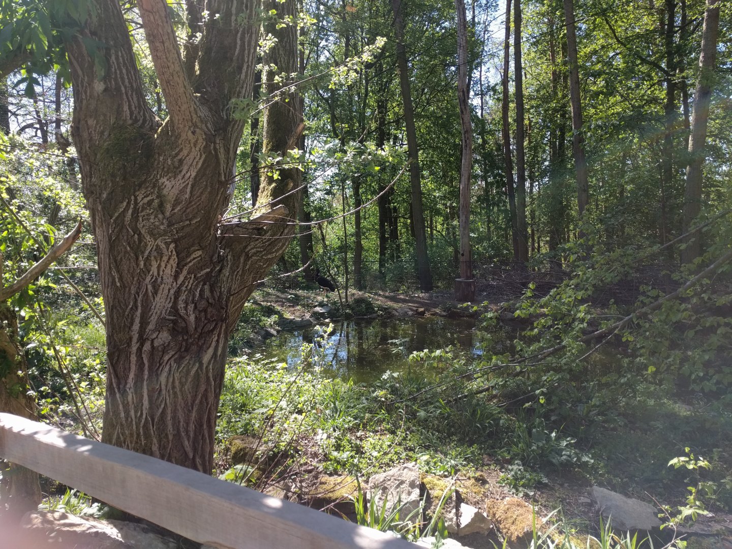 Black storc Enclosure