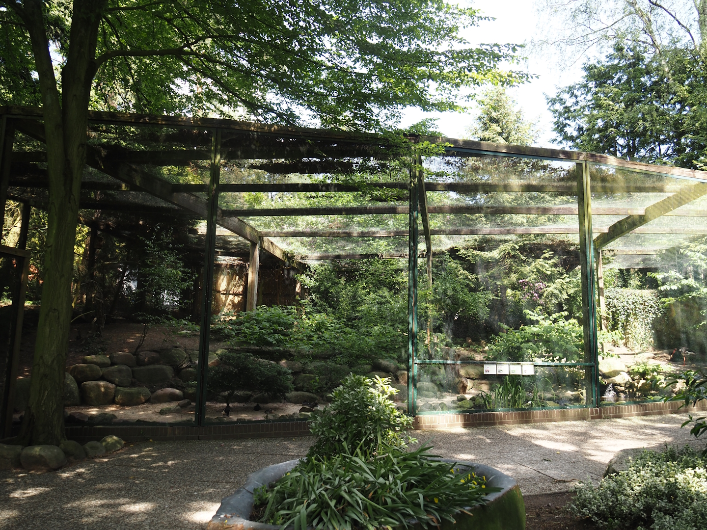 Black stork and Waterfowl aviary, 2024-05-21