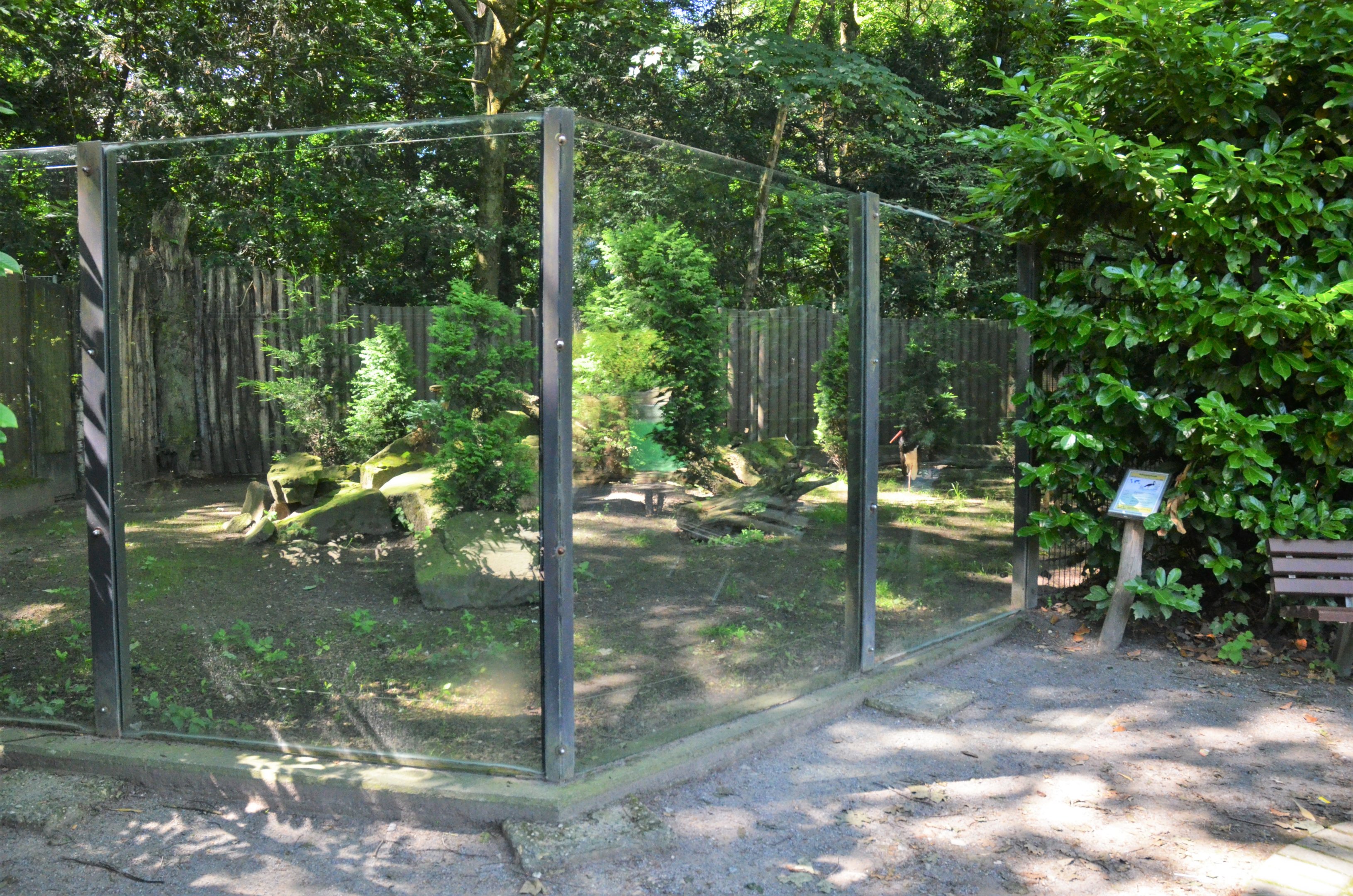 Black Stork Enclosure (Former Arctic Fox Enclosure) at Duisburg, 17/06/19