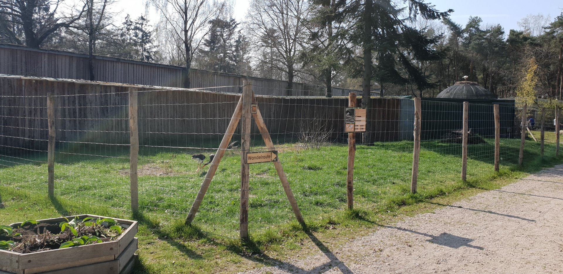 Black stork-enclosure