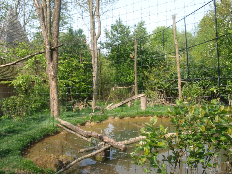 Black stork, raven and Eurasian eagle-owl aviary (May 2nd, 2015)