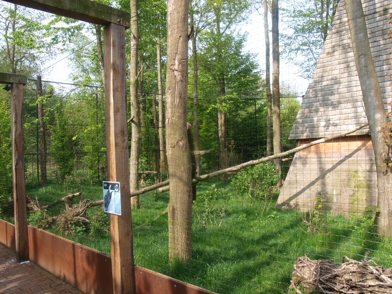 Black stork, raven and Eurasian eagle-owl aviary (May 2nd, 2015)