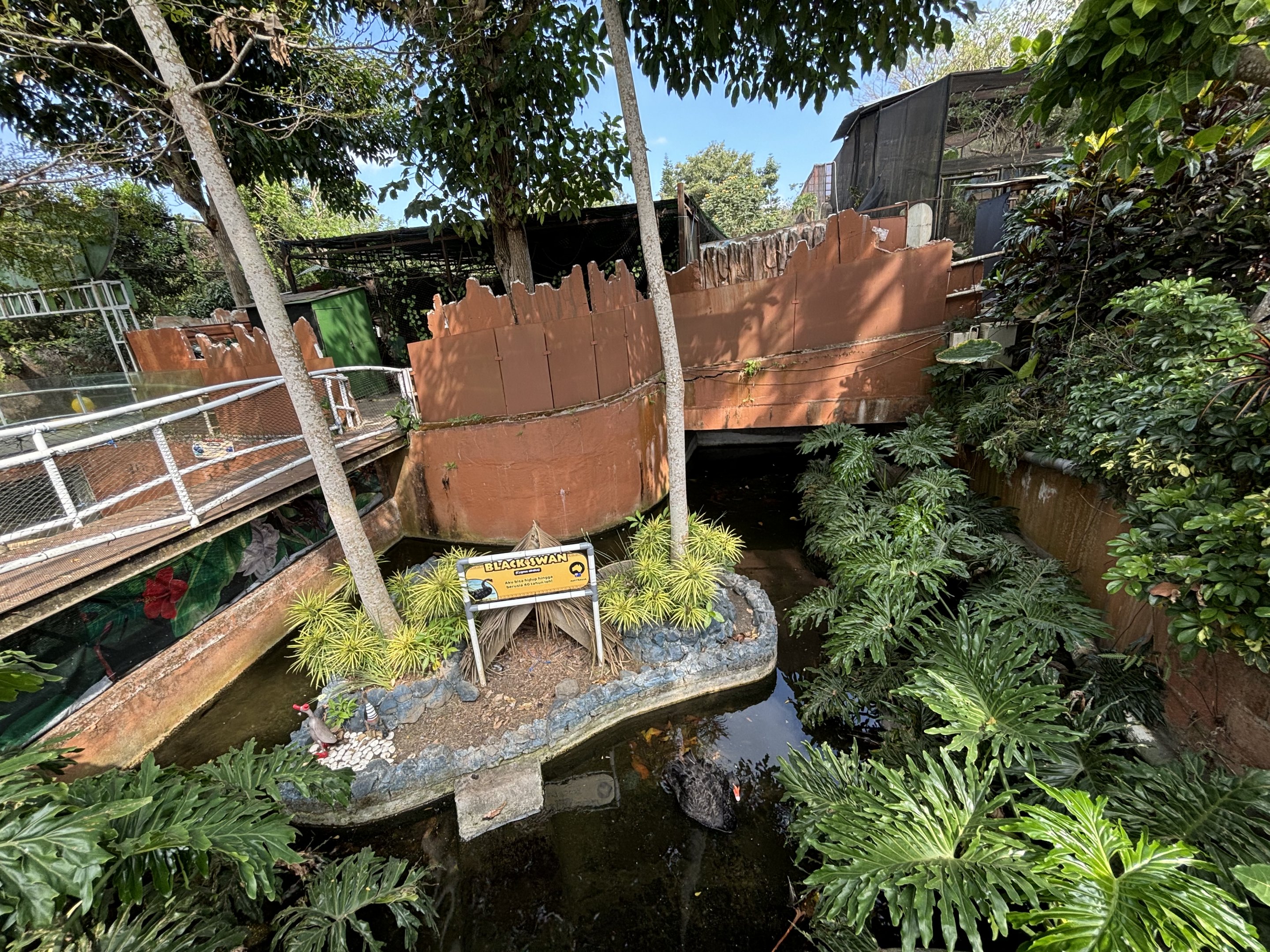 Black Swan Exhibit #1