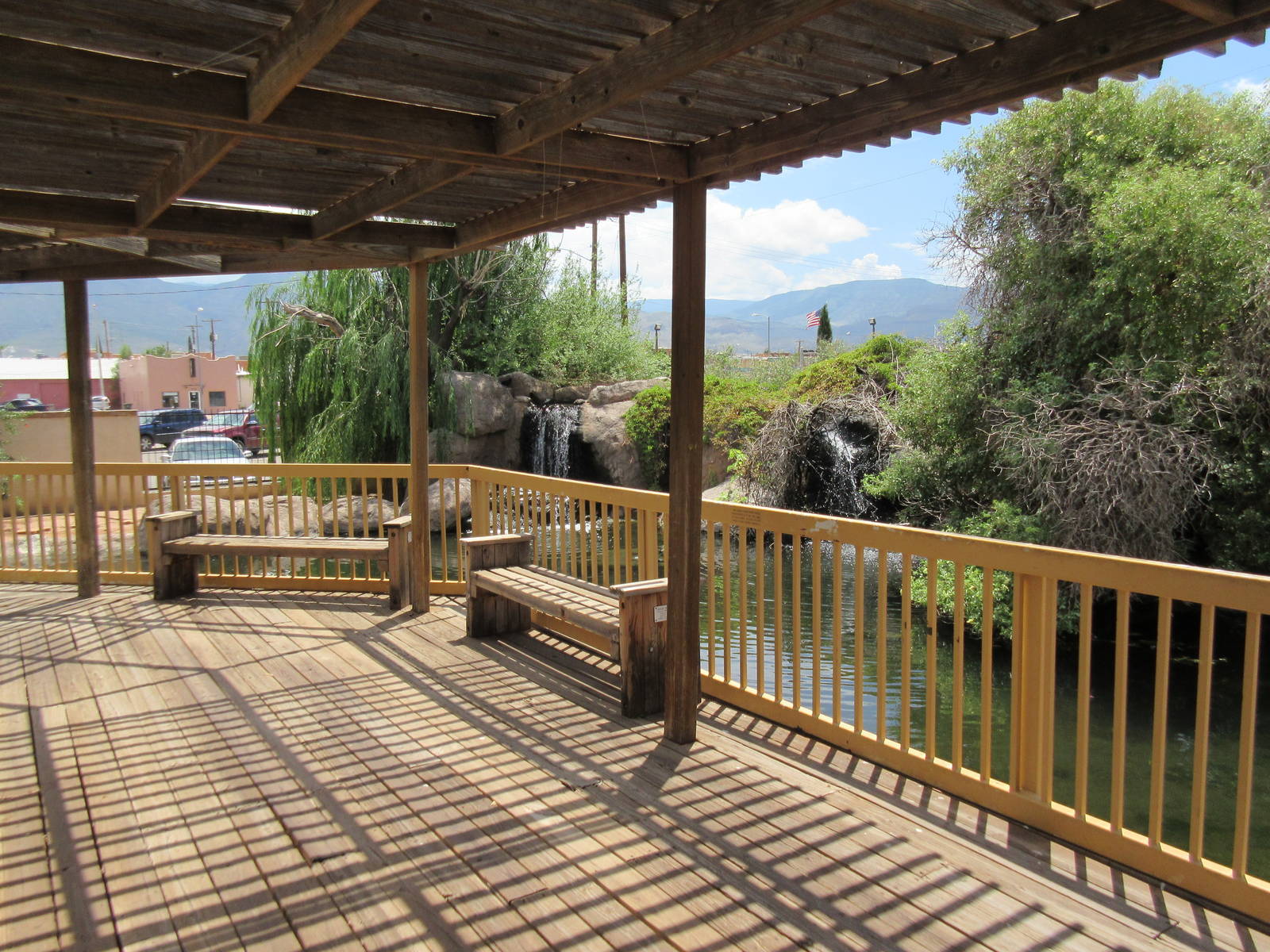 Black Swan Exhibit - viewing deck