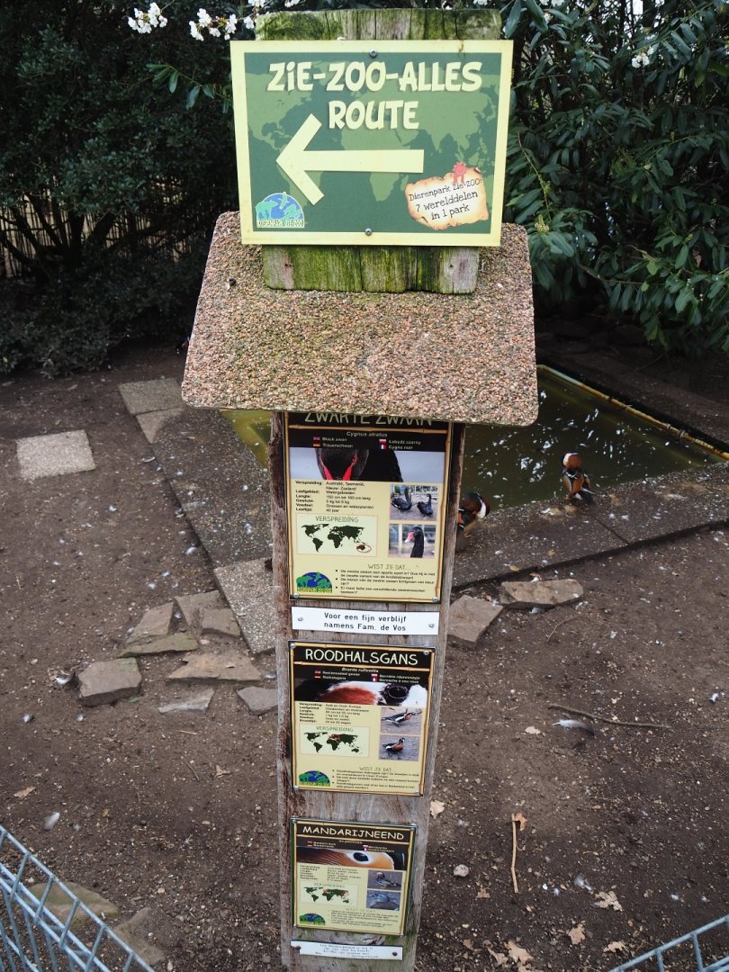 Black swan - Mandarin duck - Red-breasted goose signage, 2019-04-06