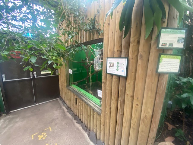 Black-tailed marmoset enclosure 200922