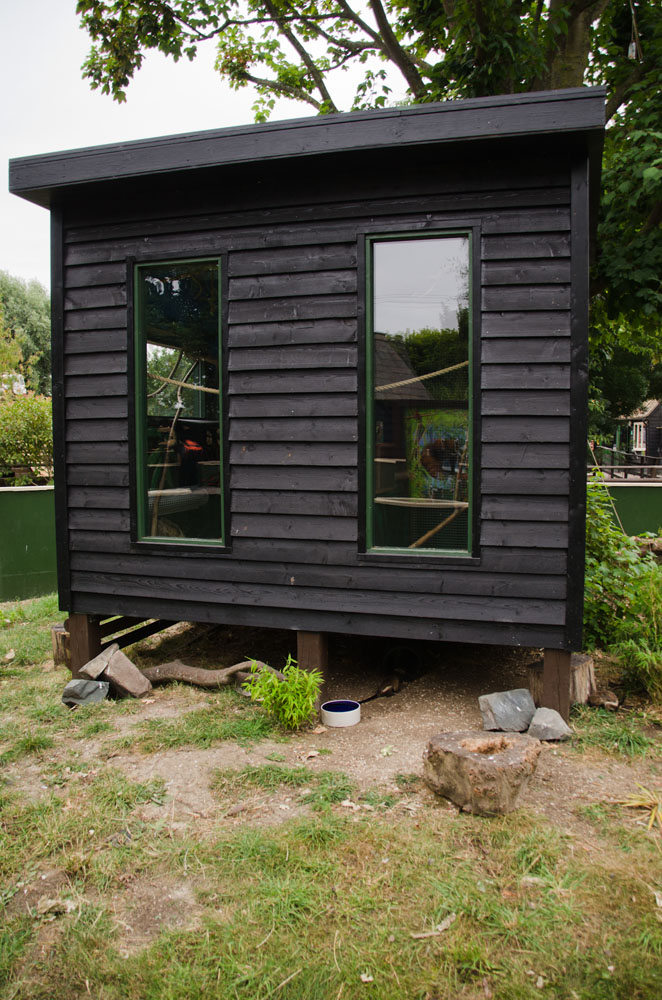 Black-tailed marmoset House
