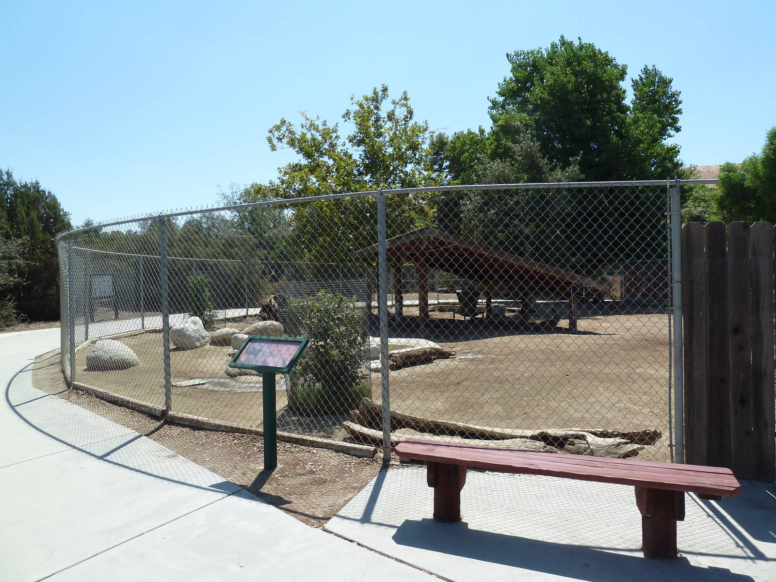 Black-Tailed Mule Deer Exhibit