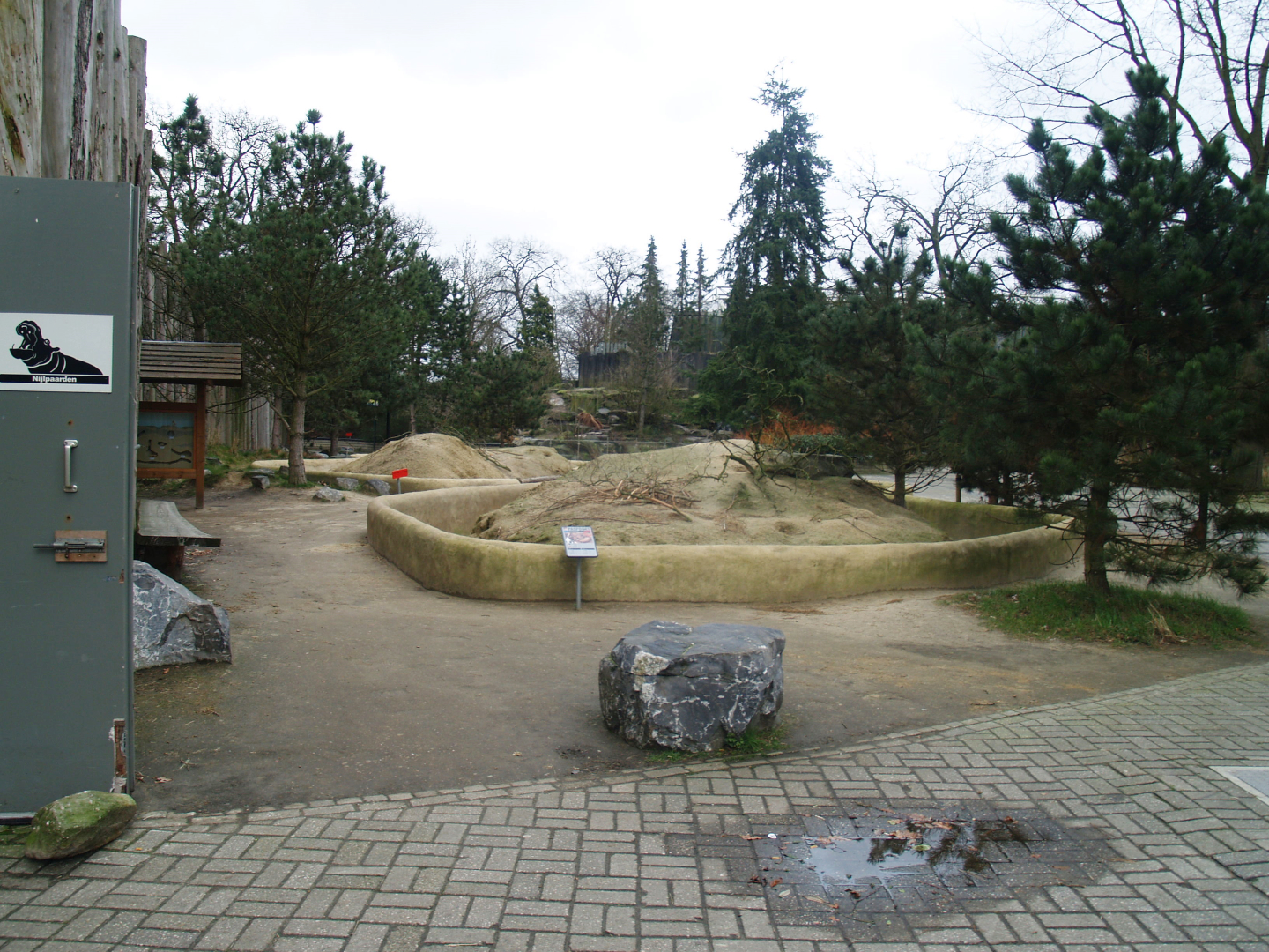 Black-tailed prairie dog, 2008-03-01