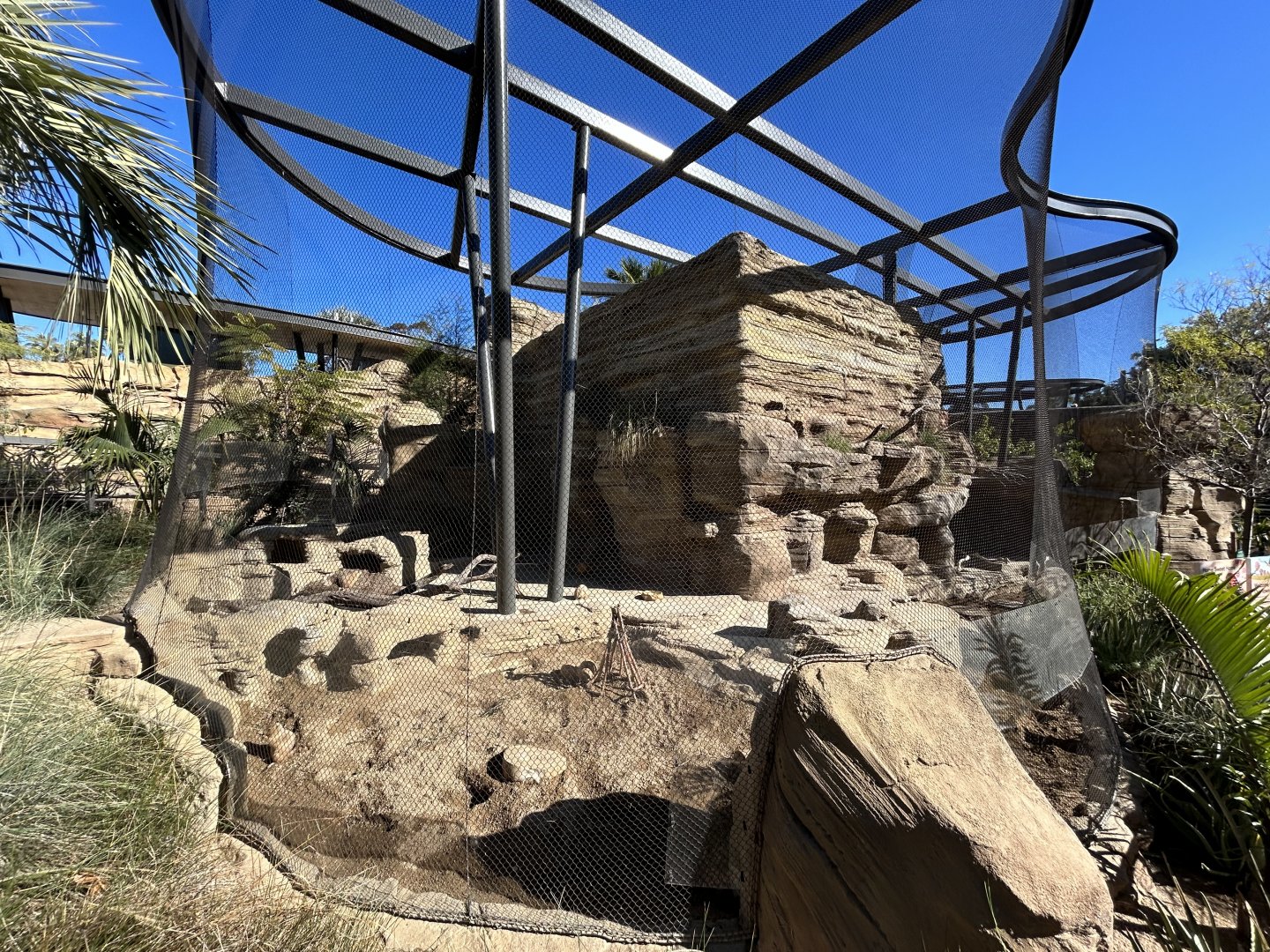 Black-tailed Prairie Dog & Burrowing Owl Exhibit - Wildlife Explorers Basecamp