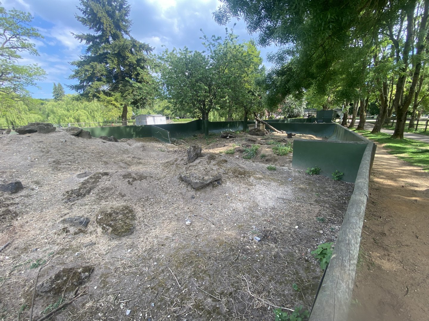 Black-tailed prairie dog enclosure 090525