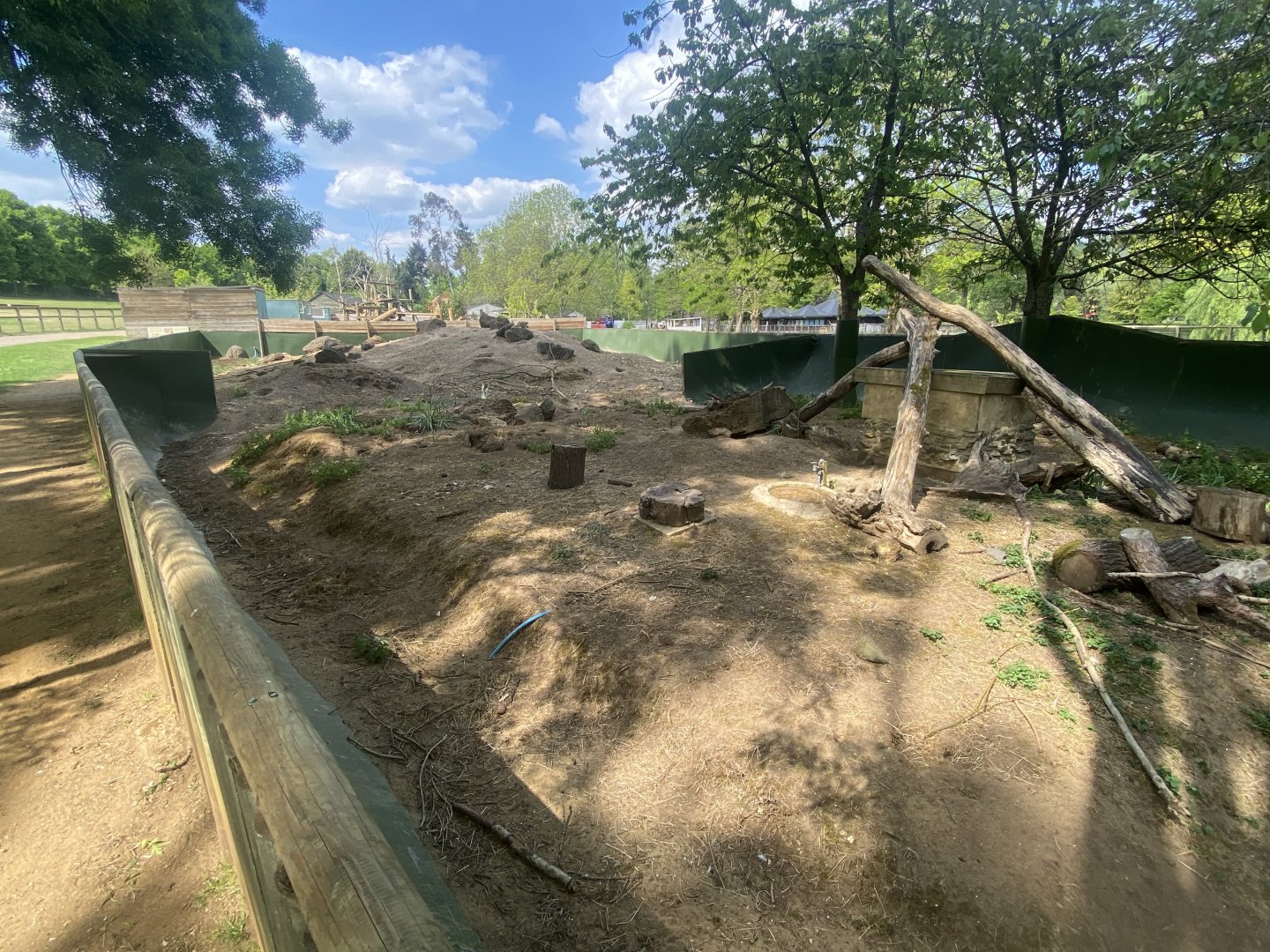 Black-tailed prairie dog enclosure 090525