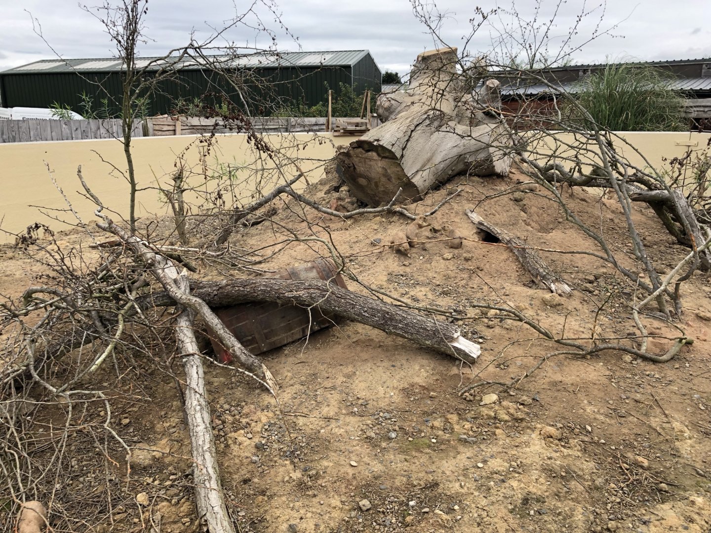 Black-tailed Prairie Dog Enclosure at Northumberland Country Zoo (September 2021)