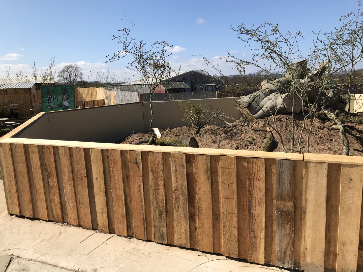 Black-Tailed Prairie Dog Enclosure
