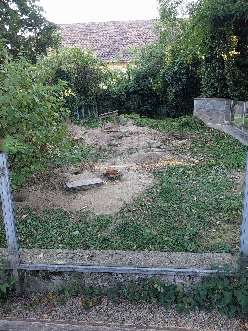 Black-tailed prairie dog enclosure