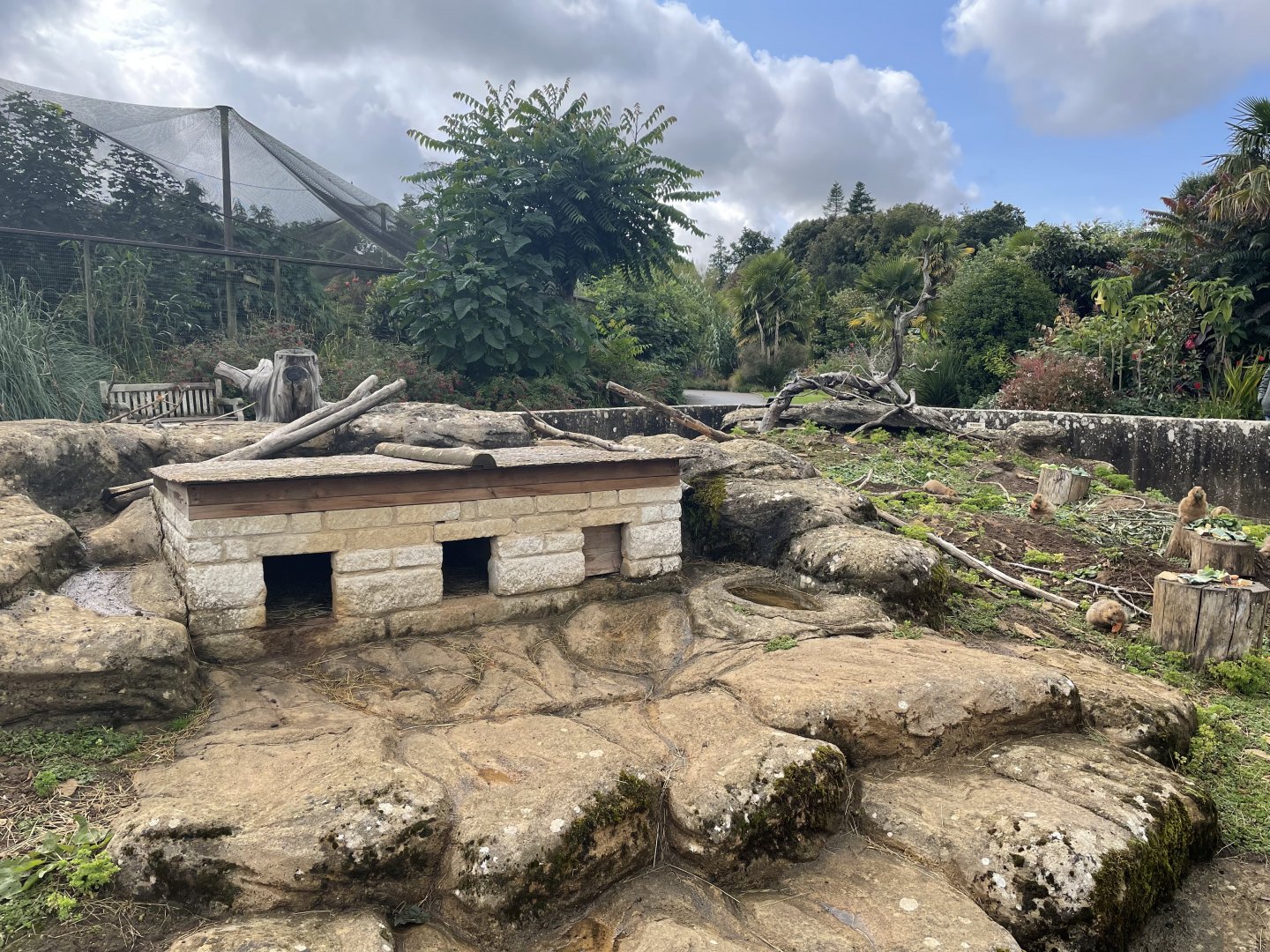 Black-tailed Prairie Dog Enclosure