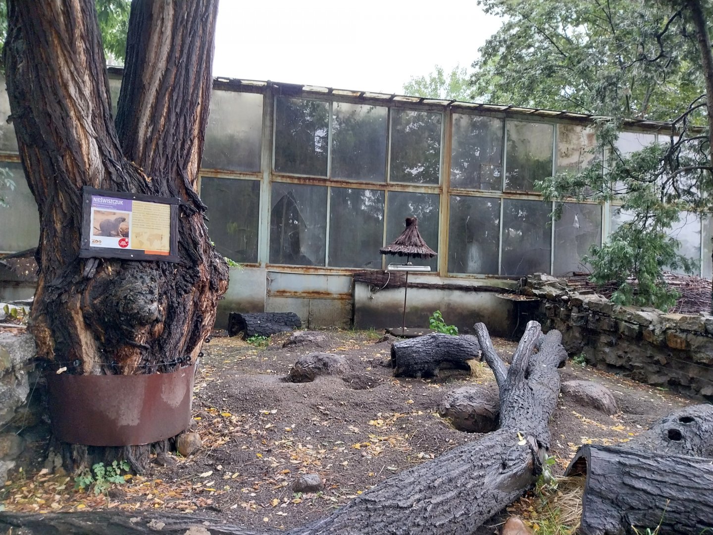 Black-tailed prairie dog enclosure