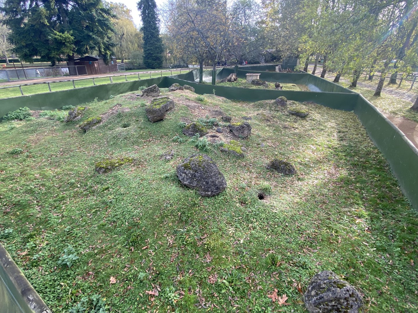 Black-tailed prairie dog exhibit 071121