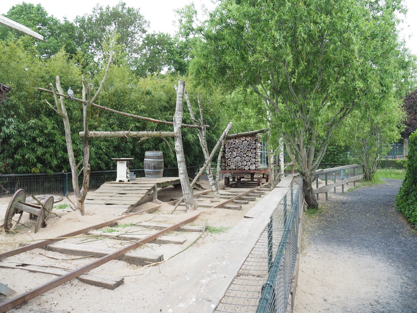 Black-tailed prairie dog exhibit, 2022-05-17