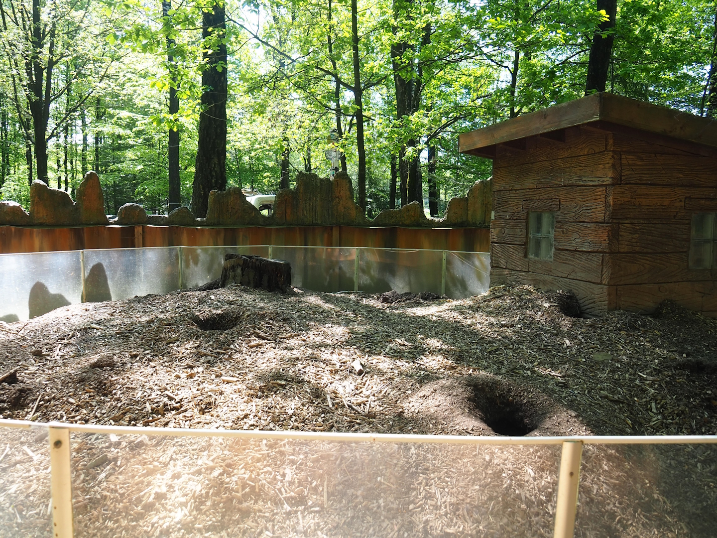 Black-tailed prairie dog exhibit, 2023-05-19