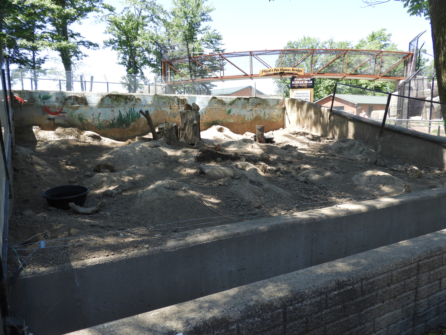 Black-Tailed Prairie Dog exhibit + Bear Bridge - Wildwood Zoo