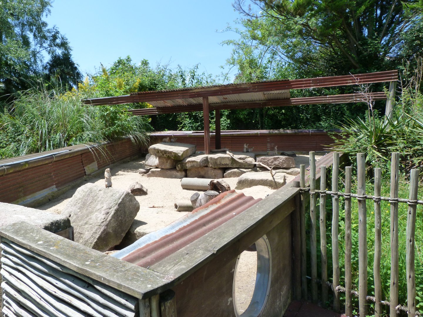 Black-tailed prairie dog exhibit -Zoo d'Asson (2025)