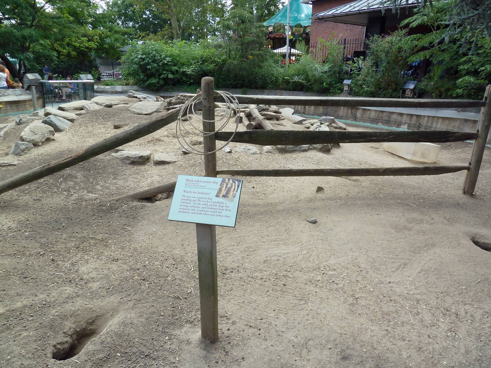 Black-Tailed Prairie Dog Exhibit